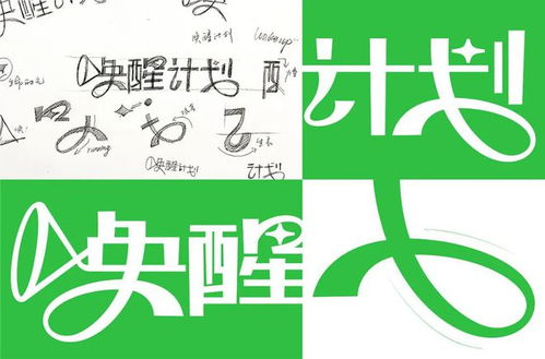 花肥礼盒包装设计 艺术与功能的完美融合